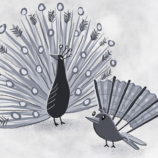 Peacocks